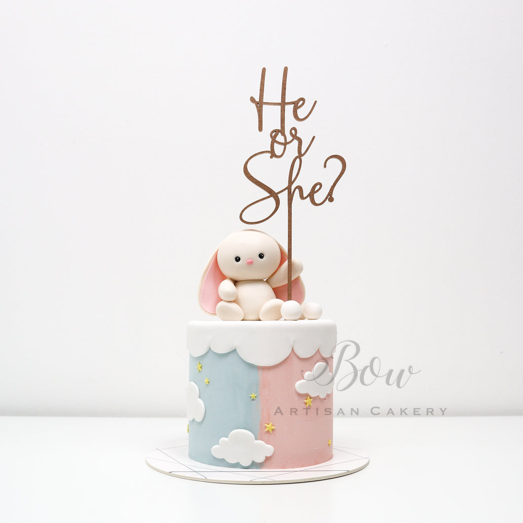 Jelly Cat Bunny He or She? GENDER REVEAL CAKE
