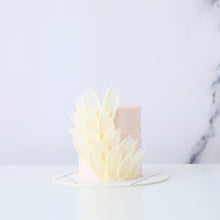Feathers Cake