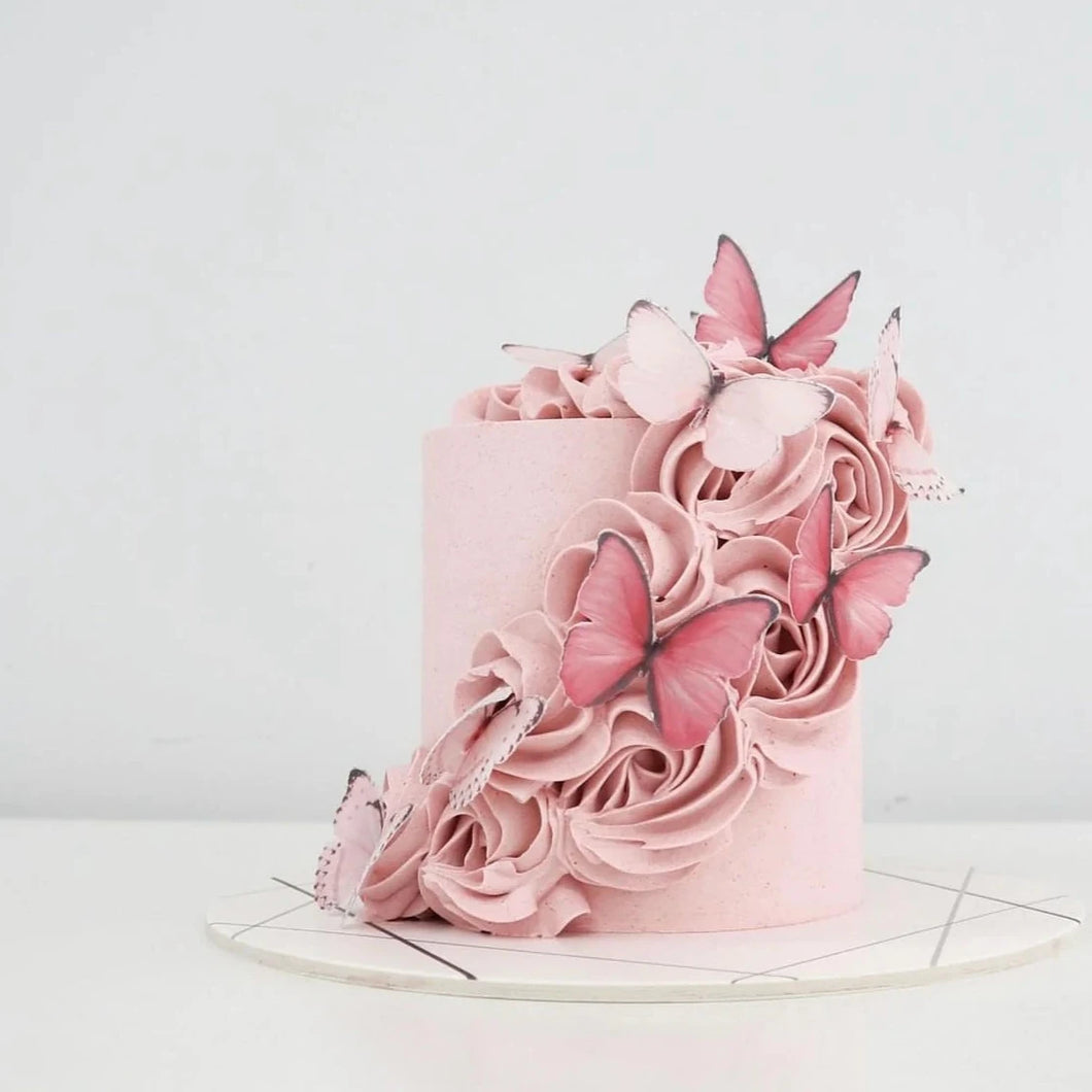 Butterflies & Rosettes