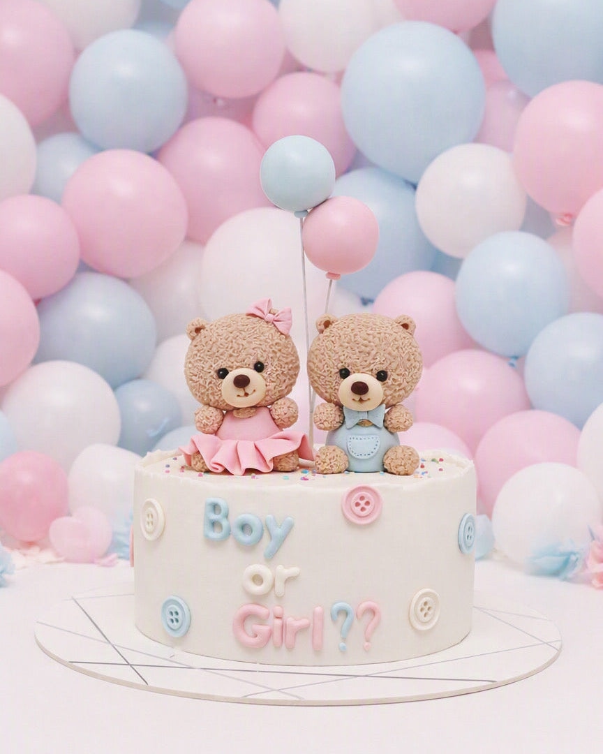 Teddy Boy or Teddy Girl? GENDER REVEAL CAKE