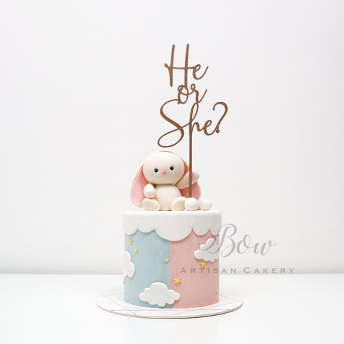 He or She? Jelly Cat Bunny GENDER REVEAL CAKE