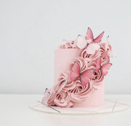 Butterflies & Rosettes [Petite]